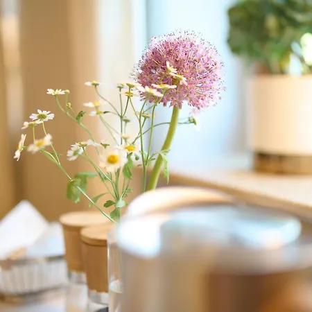 Bioweingut & Gaenz Hackenheim