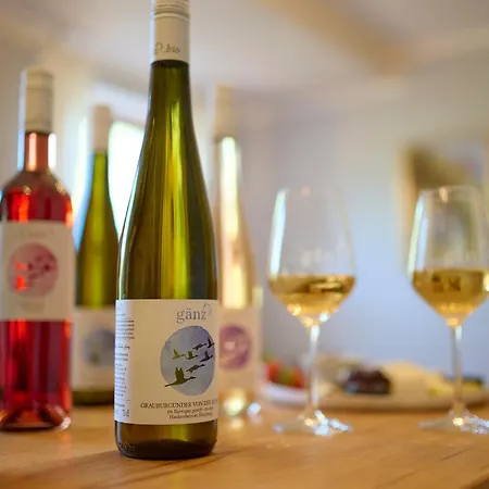 Bioweingut & Gaenz Hotel