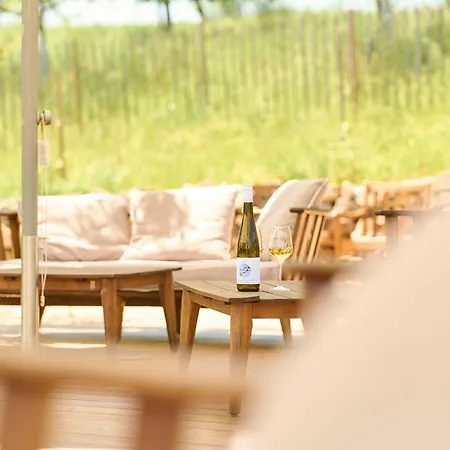 Bioweingut & Gaenz 酒店