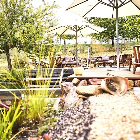 Bioweingut & Gaenz Hackenheim