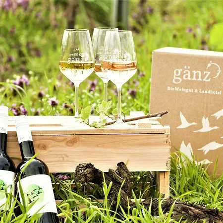 Bioweingut & Gaenz Hotel Hackenheim
