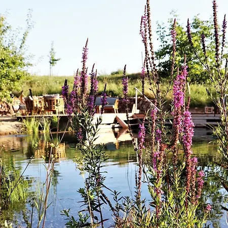 Hotel Bioweingut & Gaenz 3*