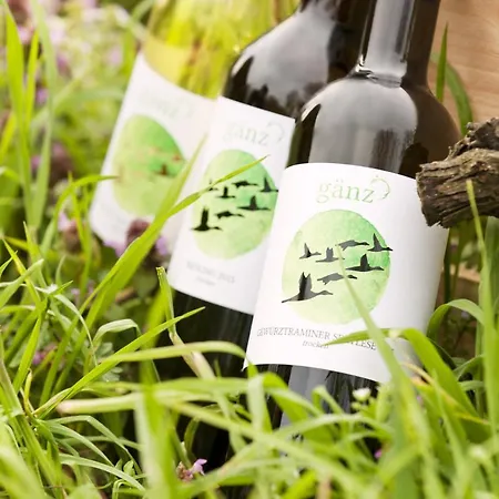 Bioweingut & Gaenz Hotel 3*