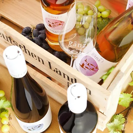 Bioweingut & Gaenz Hotel