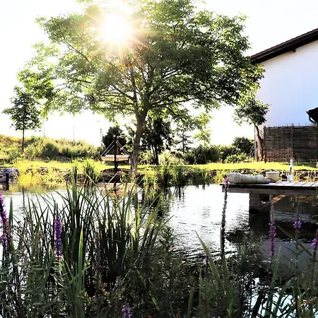 Hotel Bioweingut & Gaenz 3*