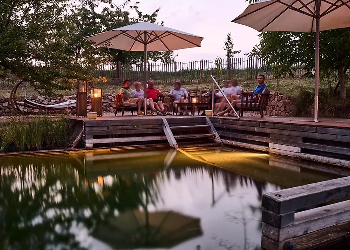 Hotel Bioweingut & Gaenz 3*