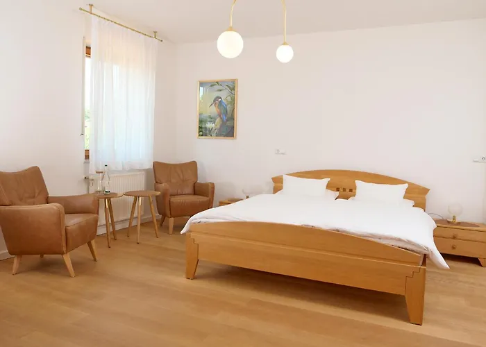 Bioweingut & Gaenz Hotel Hackenheim