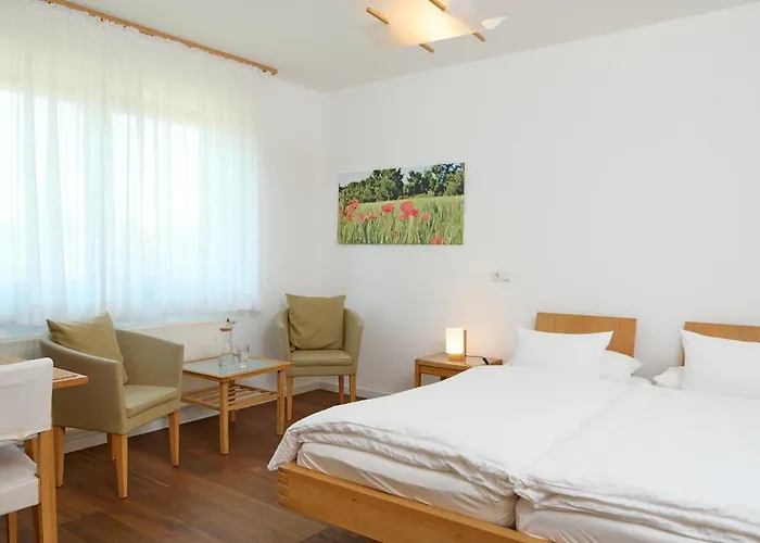 Hotel Bioweingut & Gaenz 3*