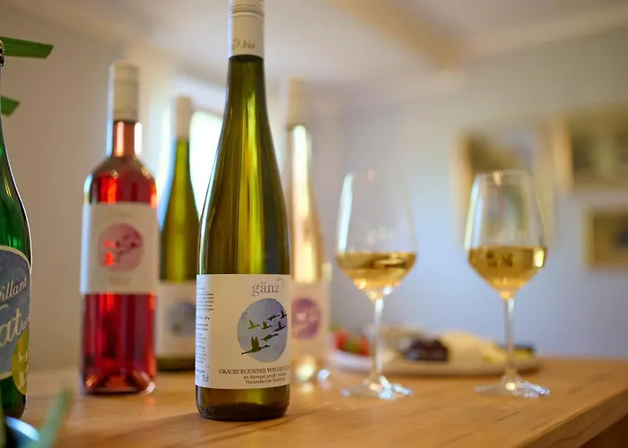 Bioweingut & Gaenz Hotel