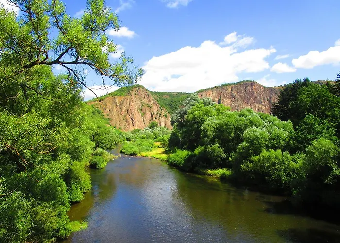 Hotel Bioweingut & Gaenz 3*