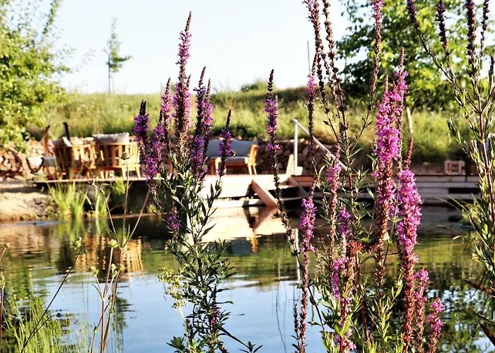 Hotel Bioweingut & Gaenz 3*