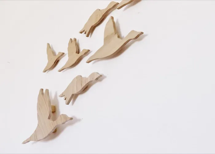 Bioweingut & Gaenz Hackenheim