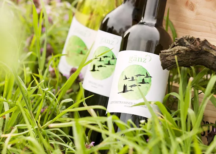 Bioweingut & Gaenz Hotel 3*