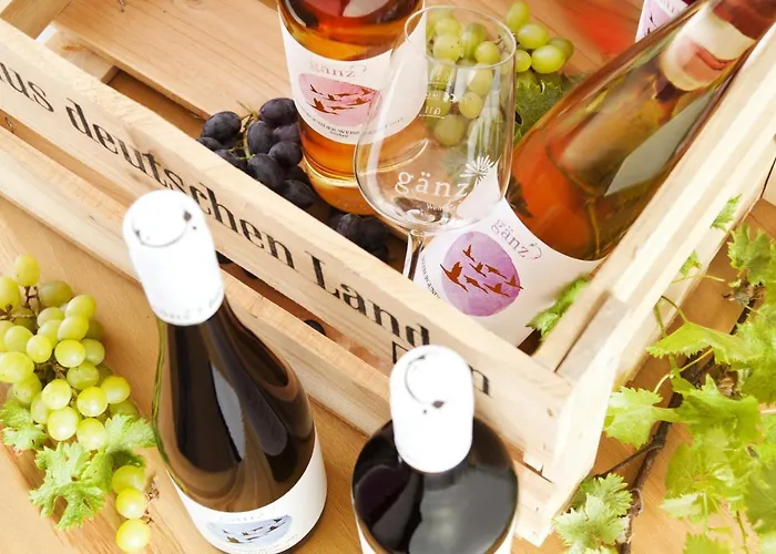 Bioweingut & Gaenz Hotel