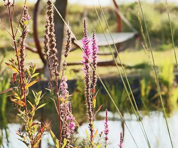 Hotel Bioweingut & Gaenz 3*